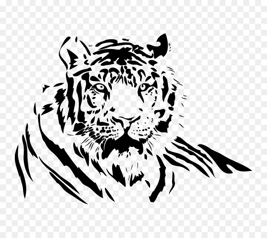 900x800 White Tiger Drawing Lion Clip Art