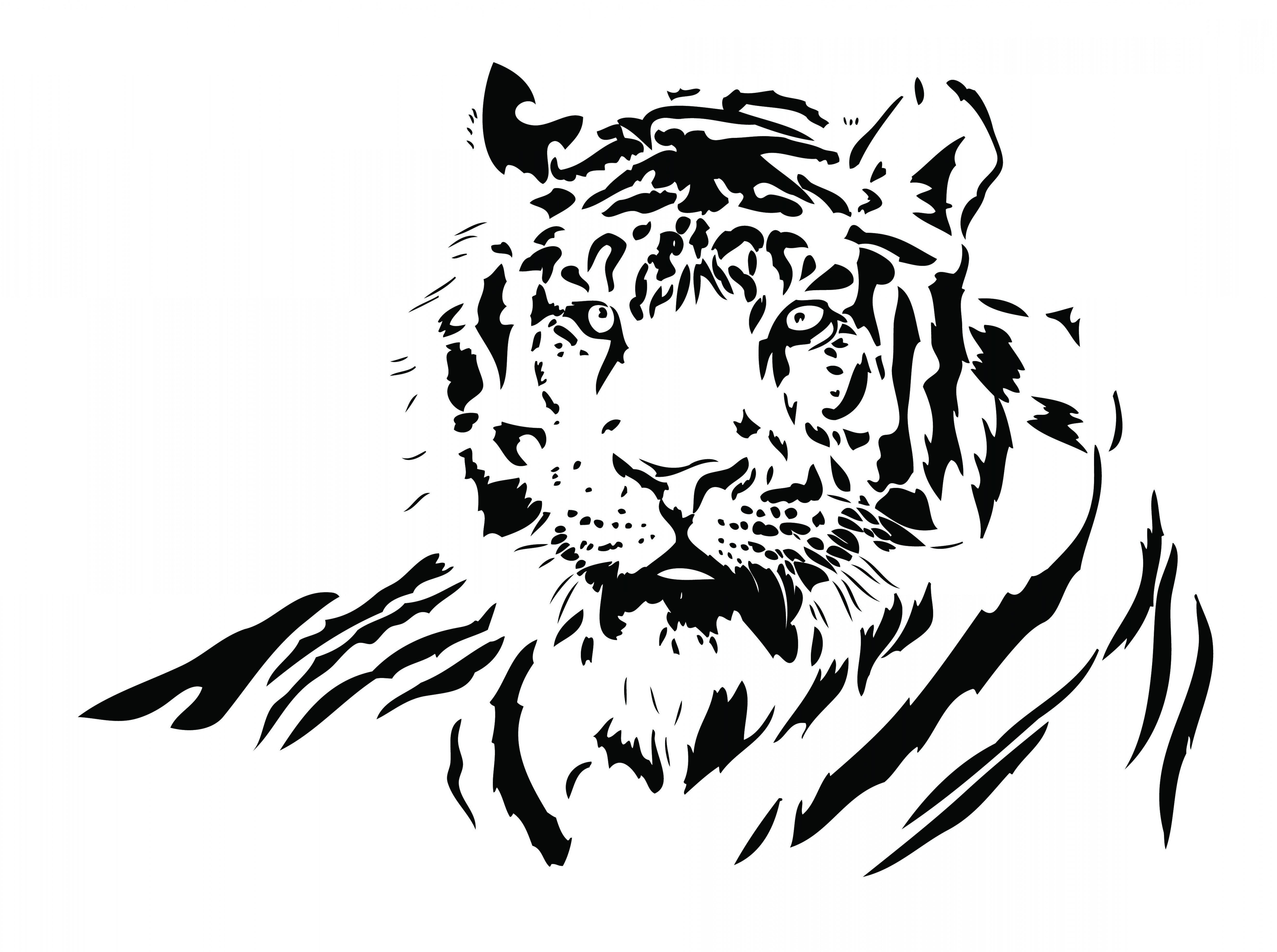 5276x3936 Both Black And White Tiger Vector Shopatcloth