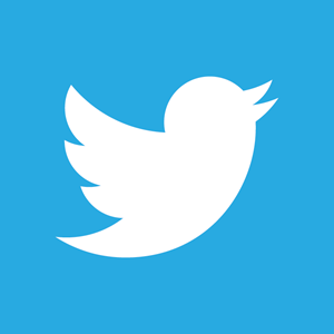 300x300 Twitter Vector Logo