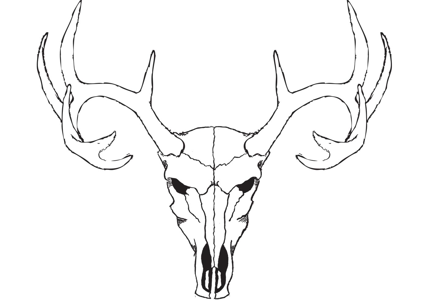 1400x980 Deer Skull Free Vector Art