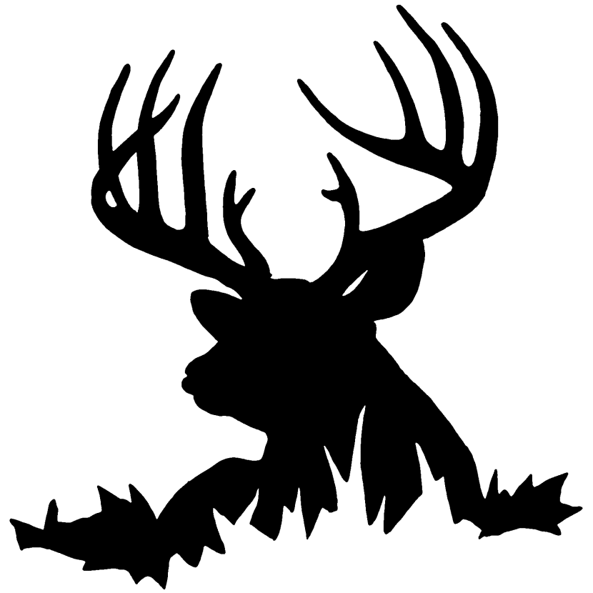 830x830 Skull Clipart Whitetail Deer