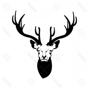 300x300 Vector Illustration Whitetail Deer Head Arenawp