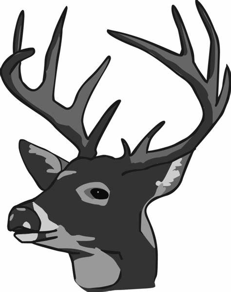 Whitetail Deer Head Vector at GetDrawings | Free download