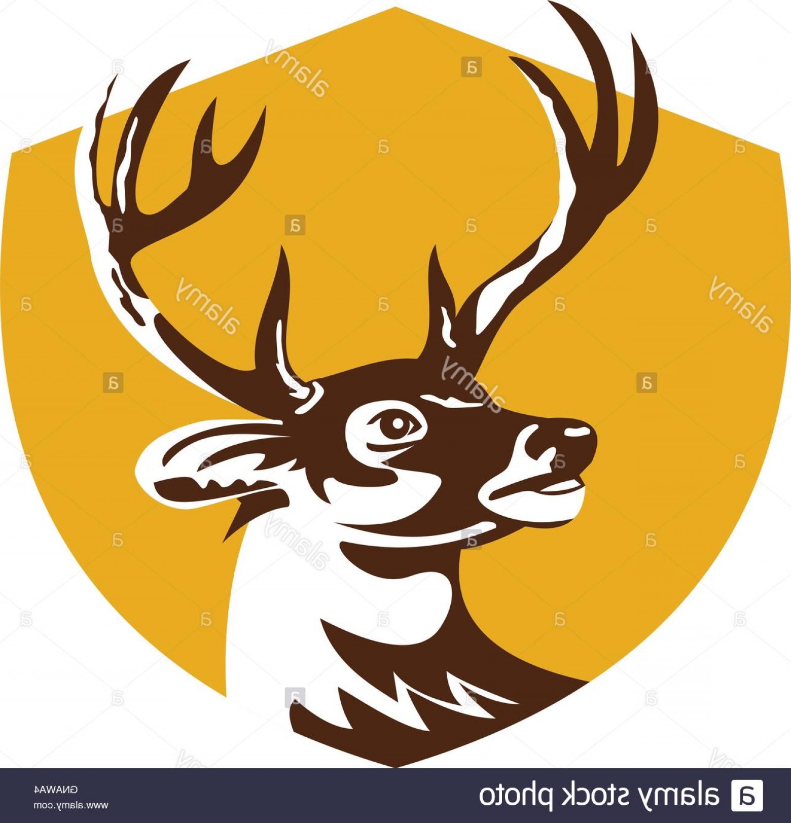 1560x1623 Whitetail Deer Vector Sohadacouri