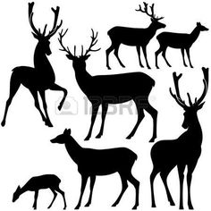 236x236 Reindeer Heads Clip Art Pages To Print Illustration Of Whitetail