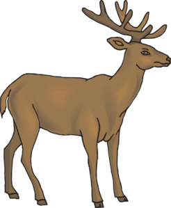 246x299 Deer Vector