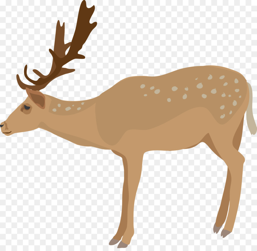 Whitetail Deer Vector at GetDrawings | Free download