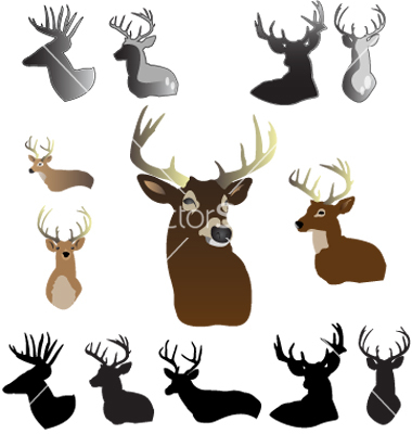 Whitetail Deer Vector at GetDrawings | Free download