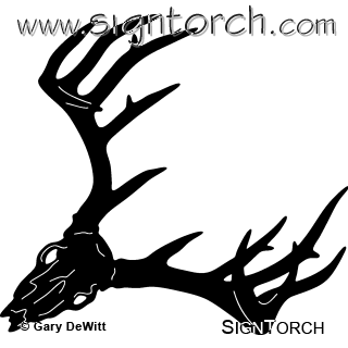 Whitetail Deer Vector at GetDrawings | Free download