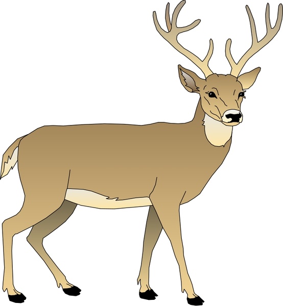 554x600 Deer 5 Free Vector In Open Office Drawing Svg ( .svg ) Vector