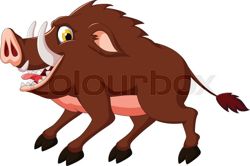 800x532 Vector Illustration Of Cute Wild Boar Cartoon Stock Vector