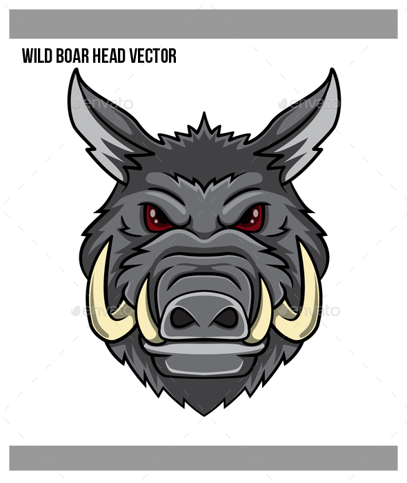 590x700 Wild Boar Head Vector By Simpletoon Graphicriver