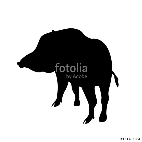 500x500 Wild Boar Vector Illustration Black Silhouette Stock Image And