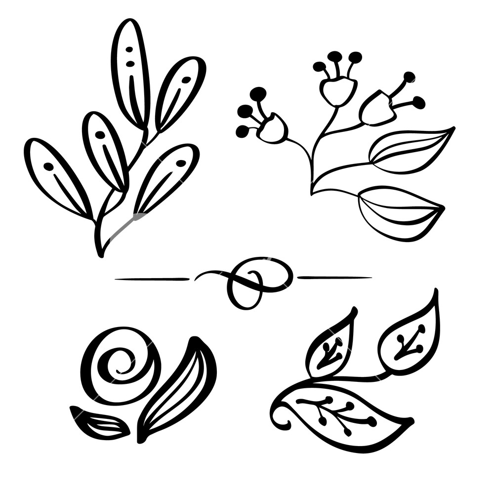 1000x1000 Set Hand Drawn Wild Flowers Branch Vector Drawing And Sketch With