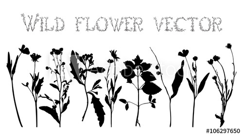 500x281 Set Silhouettes Of Wild Flowers Vector