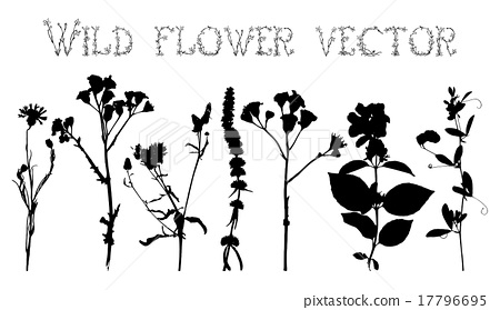 450x279 Silhouettes Of Wild Flowers And Leaves Vector