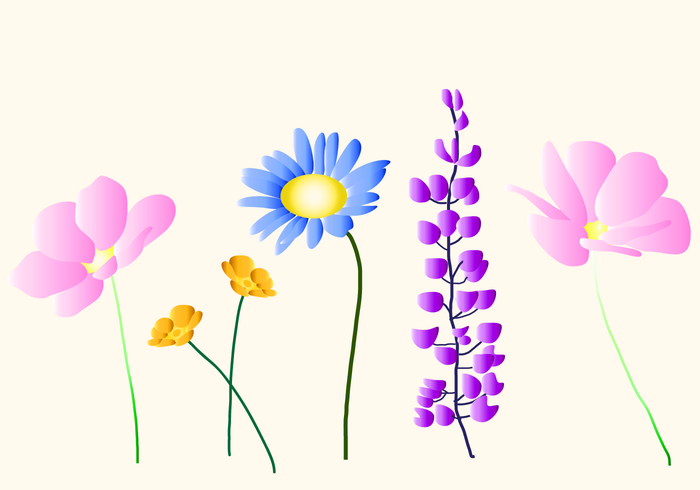 700x490 Wild Flowers Vectors