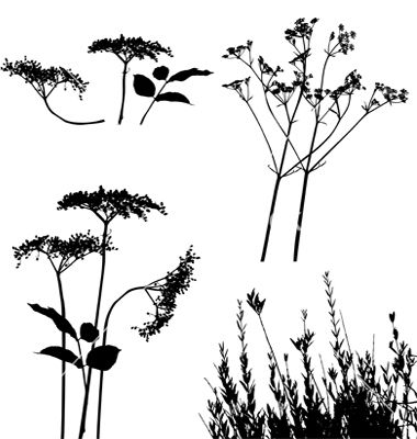 380x400 Wild Flower Silhouettes Vector Silhouette Clip Art