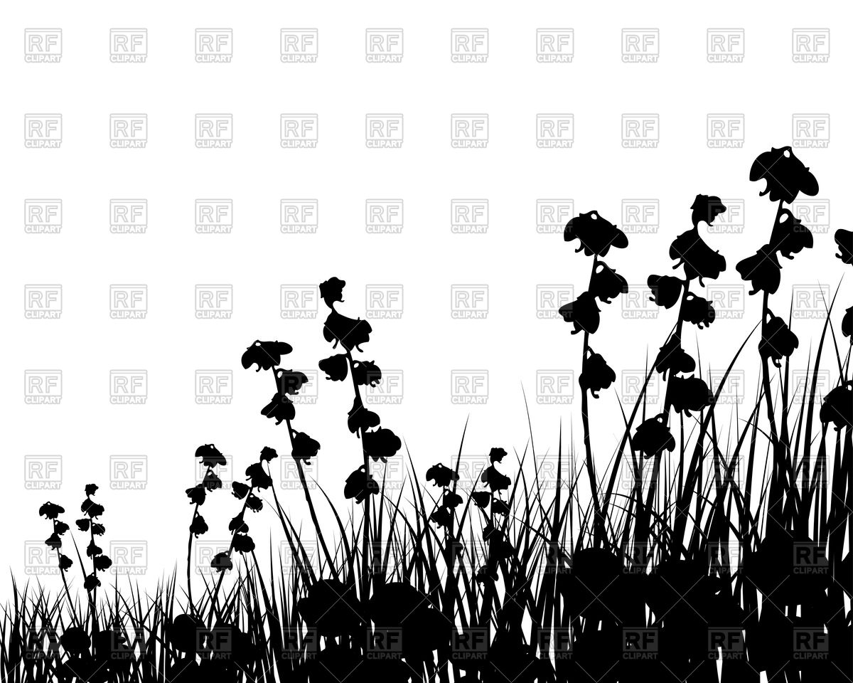 1200x960 Wild Flowers And Grass Silhouette Background Vector Image Vector