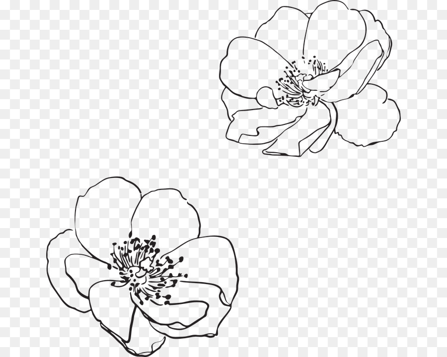 Wild Flower Vector at GetDrawings | Free download