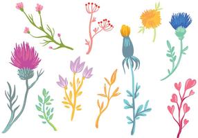 286x200 Wildflowers Free Vector Art