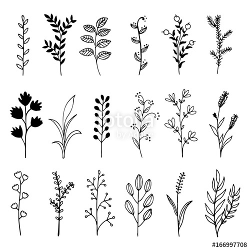 Wild Flower Vector at GetDrawings | Free download