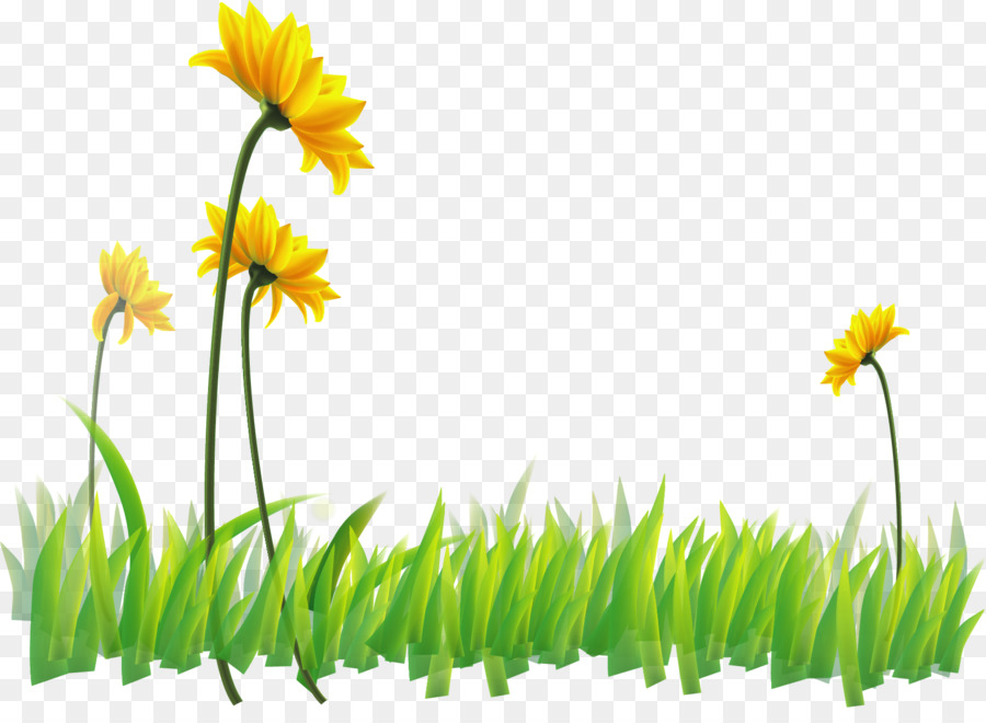 Wild Flower Vector at GetDrawings | Free download