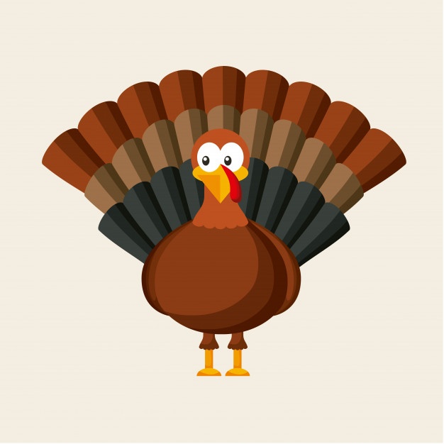 626x626 Turkey Vectors, Photos And Psd Files Free Download