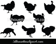 236x188 Wild Turkey Gobbling Silhouette