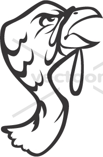 209x320 Wild Turkey Head In Black