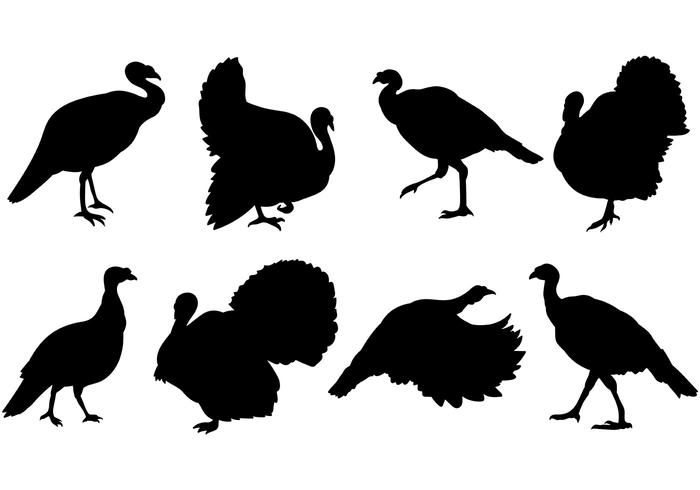 700x490 Wild Turkey Icons Vector