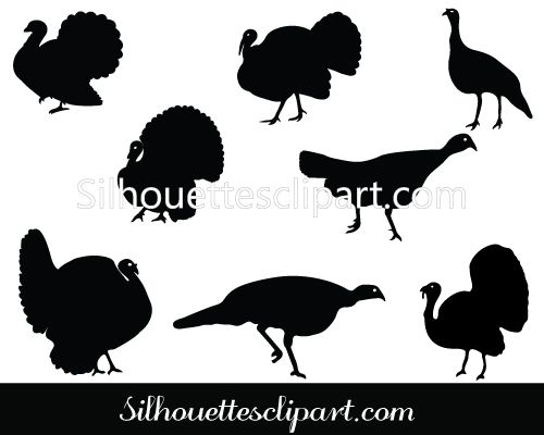 500x400 Wild Turkey Vector 50696 Hdweb