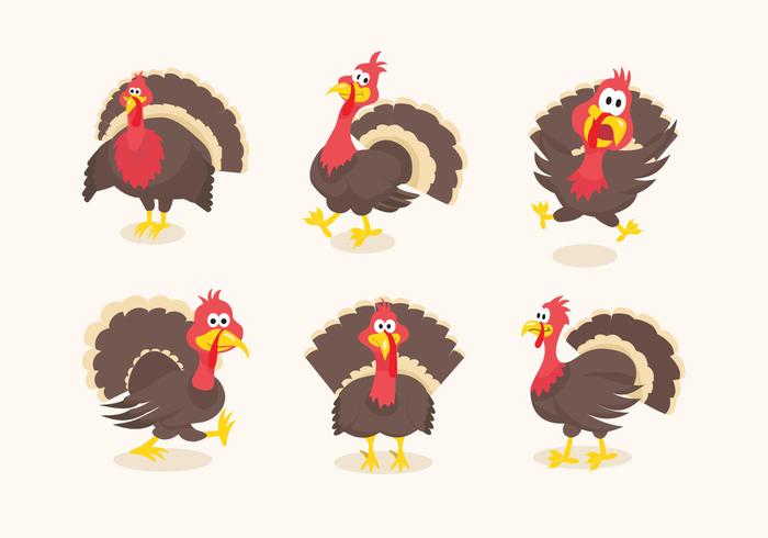 700x490 Wild Turkey Funny Cartoon Illustration