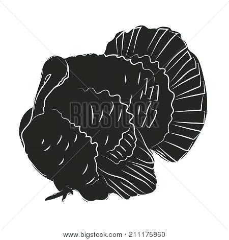 450x470 Wild Turkey Silhouette Thelearningdoctor