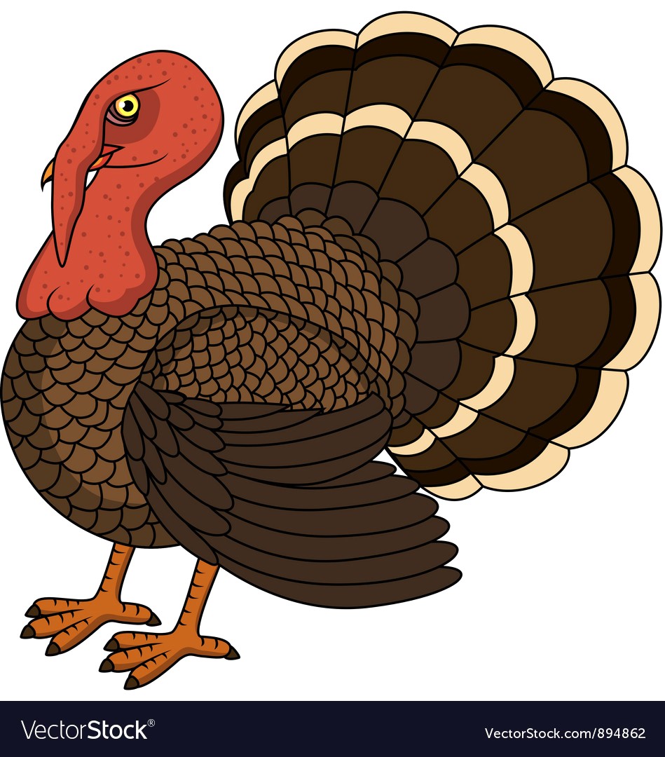 949x1080 Turkey Vector 894862 18