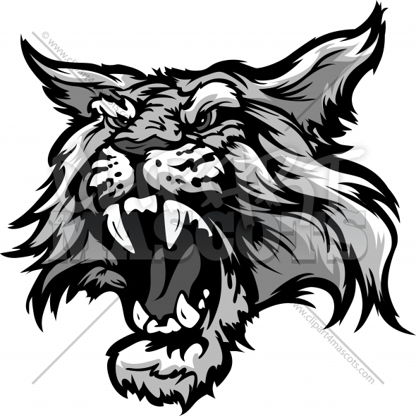590x590 Wildcat Head Graphic Vector Cartoon