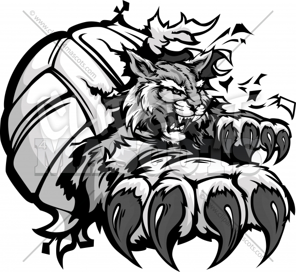 590x541 Wildcat Volleyball Clipart Graphic Vector Cartoon
