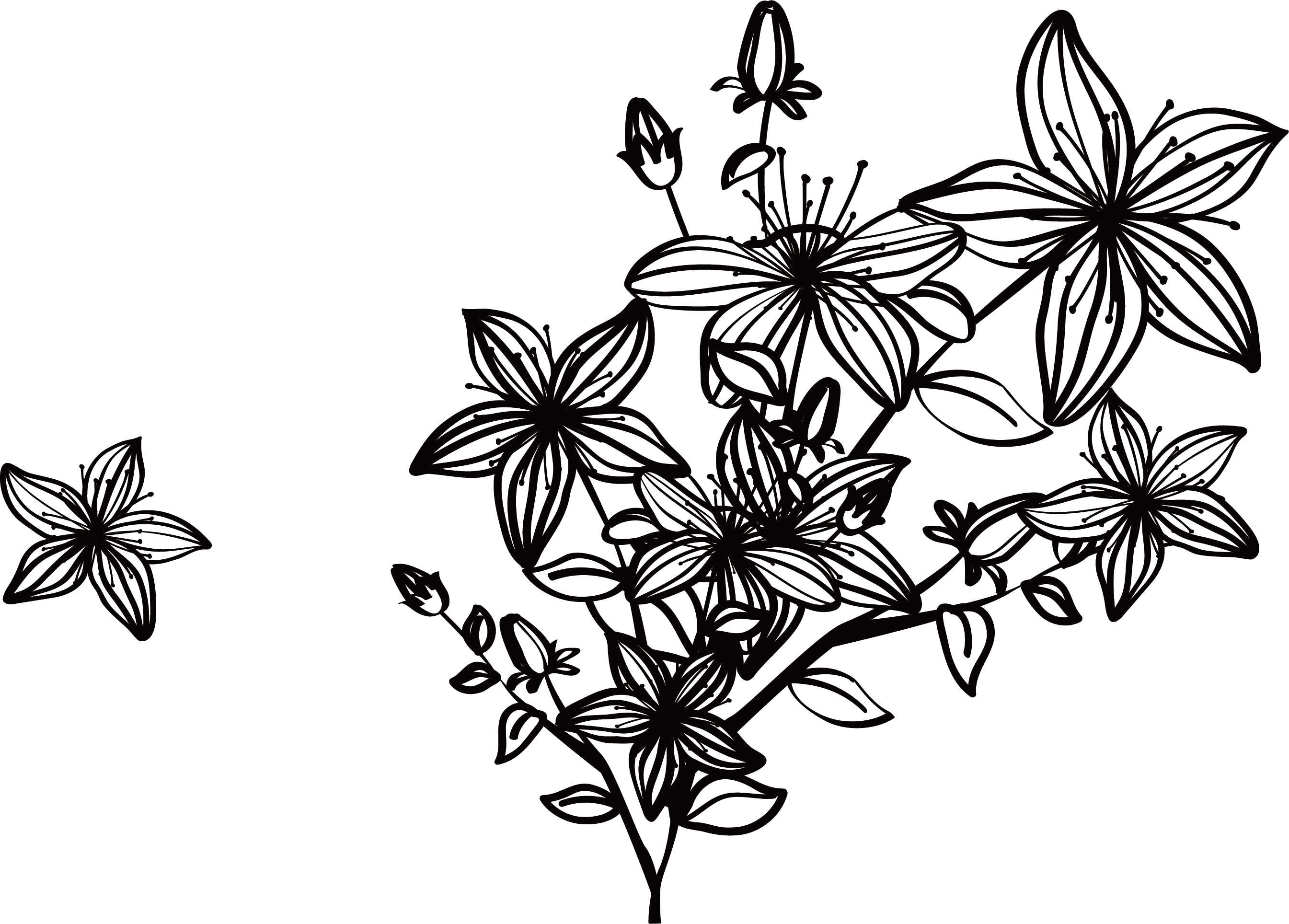 Free Free 87 Outline Wildflower Svg SVG PNG EPS DXF File