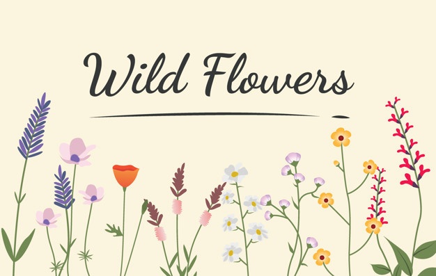 626x397 Wildflower Vectors, Photos And Psd Files Free Download