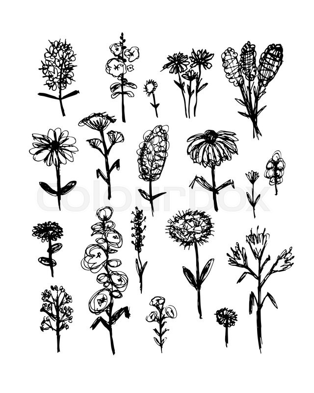 640x800 Collection Of Wildflowers, Sketch Fro Your Design. Vector