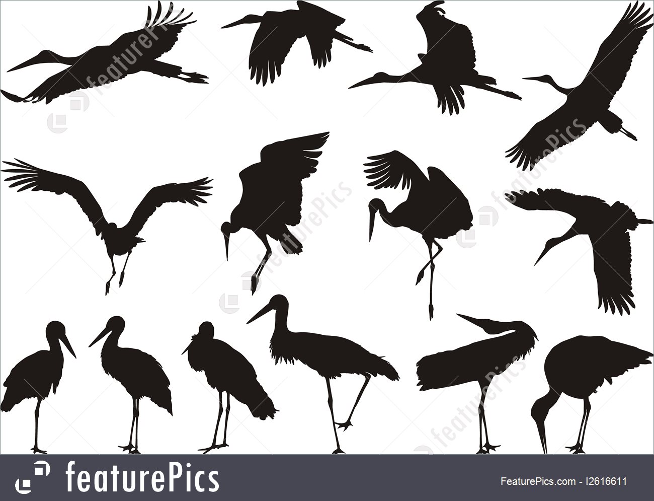1300x995 Wildlife Stork Silhouettes