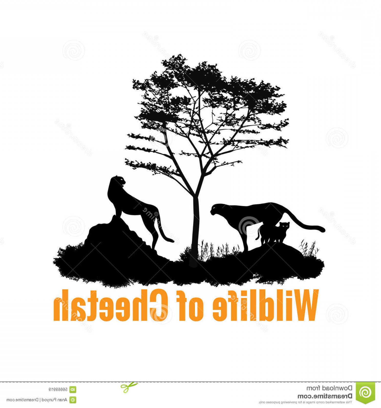 1560x1668 Wildlife Vector Shopatcloth