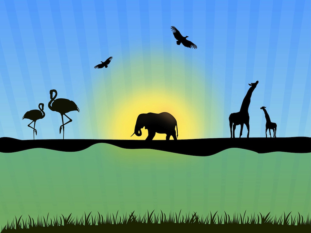 1024x768 Wildlife Vector