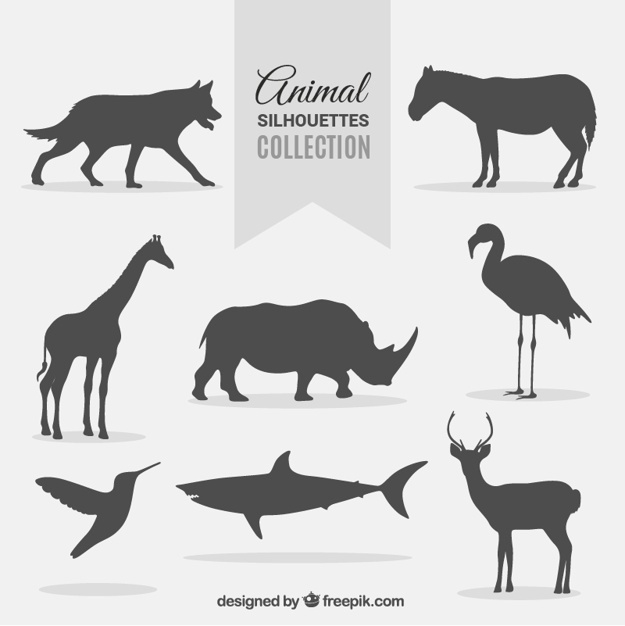 625x626 Wildlife Vectors, Photos And Psd Files Free Download