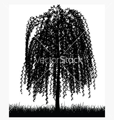 380x400 Weeping Willow Tree Vector 19733