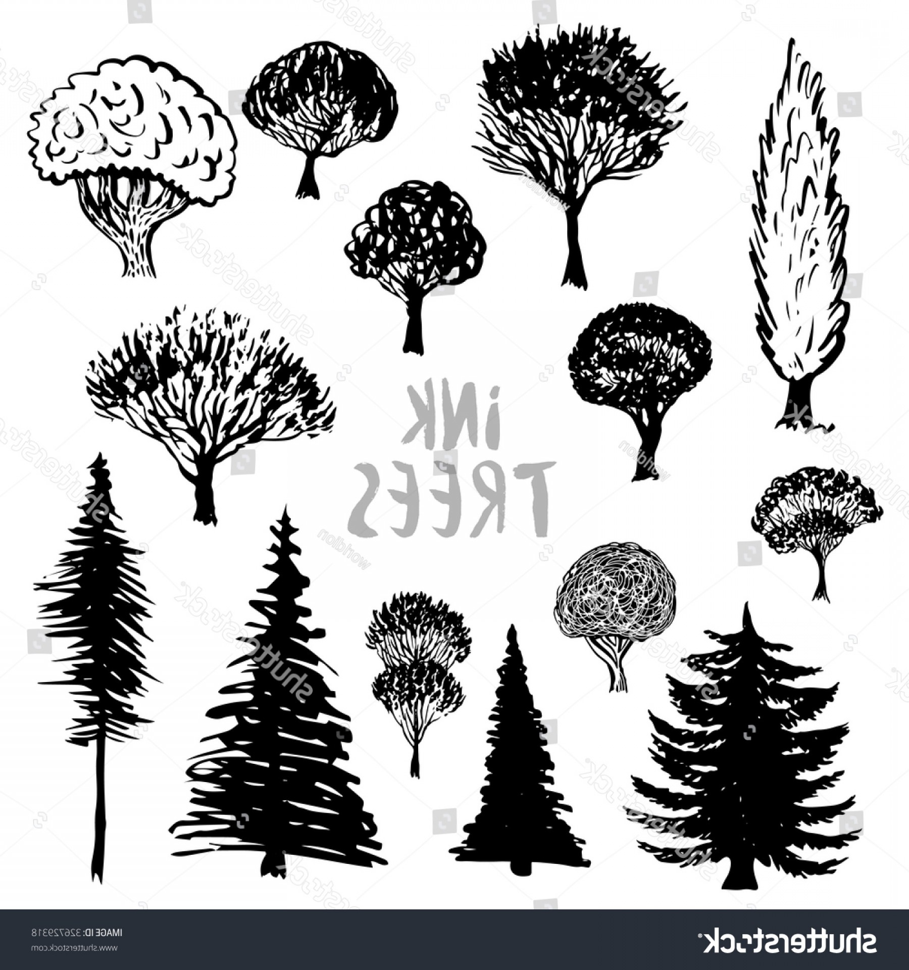 1800x1920 Whimsical Willow Tree Vector Arenawp