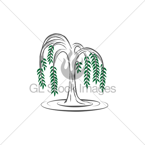 500x500 Willow Tree Gl Stock Images