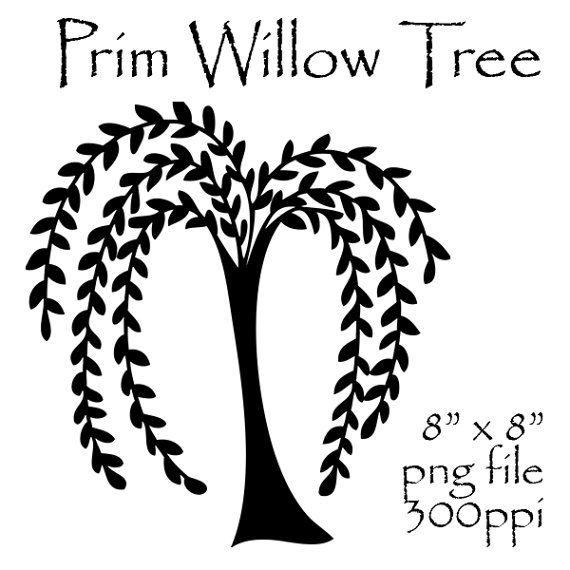 570x570 Willow Tree Clipart