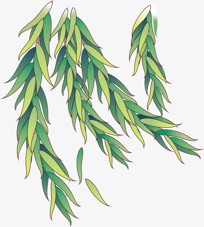 650x726 Willow, Vector, Ai Png And Vector For Free Download