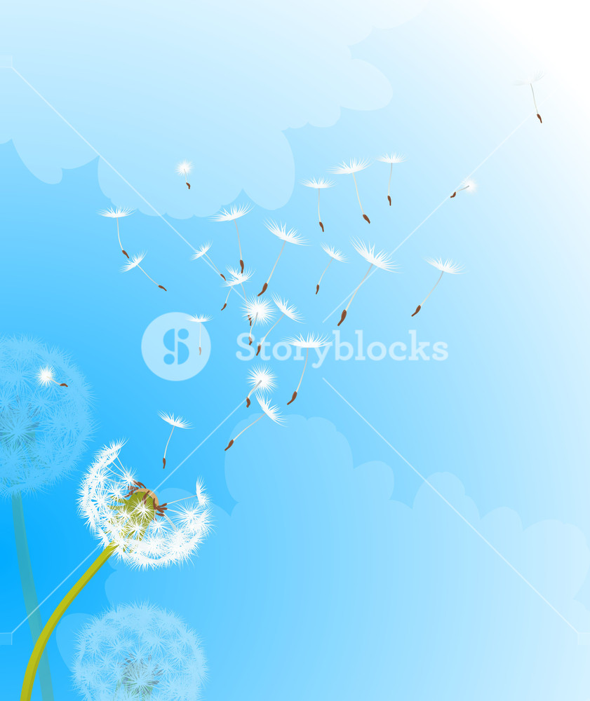 841x1000 Dandelion In The Wind. Vector Background. Royalty Free Stock Image